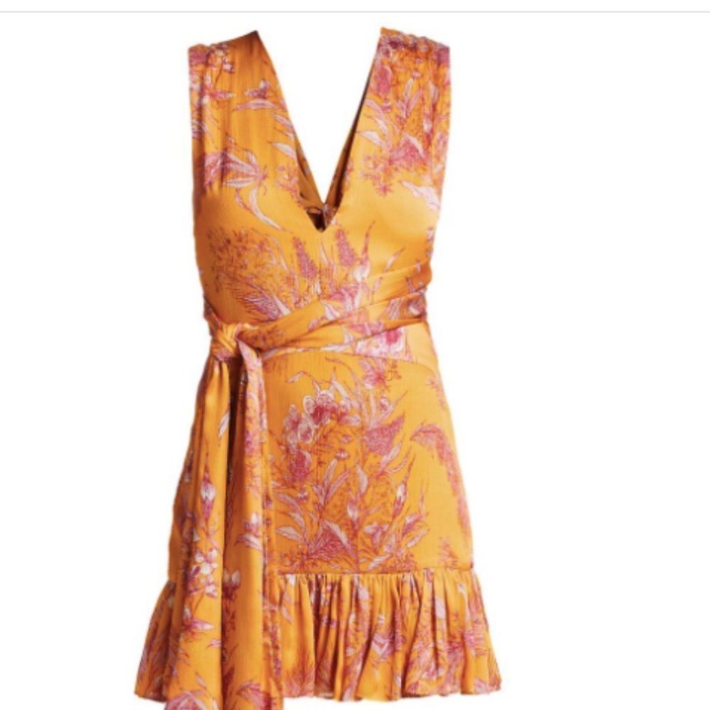 Alexis Cassara Mini Dress